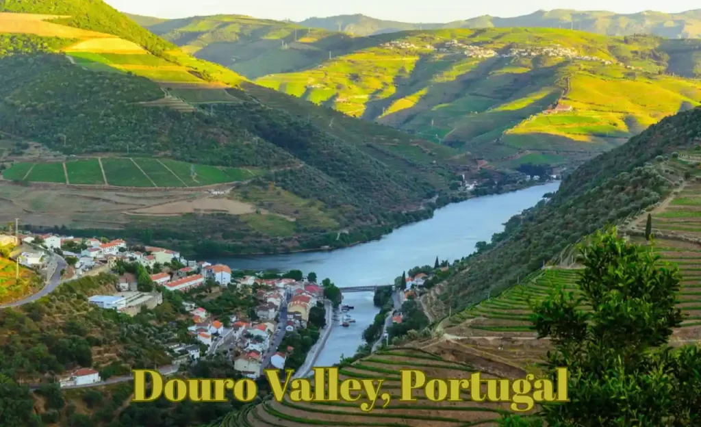 Douro Valley Portugal 1