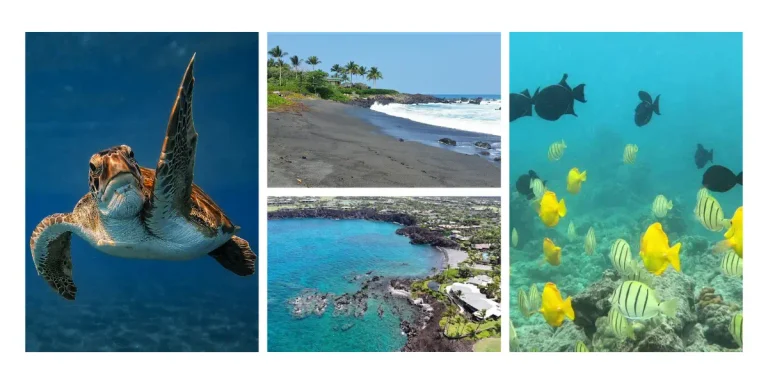 49 Black Sand Beach, Big Island: How to Visit in 2026 (Parking, Passes, Best Time & Safety Tips)