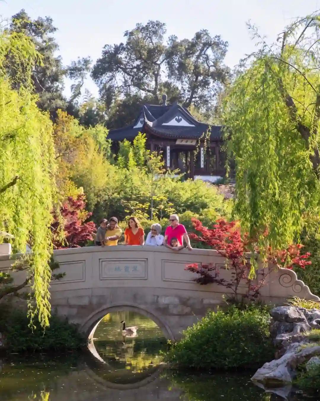 Huntingtons Themed Gardens 1