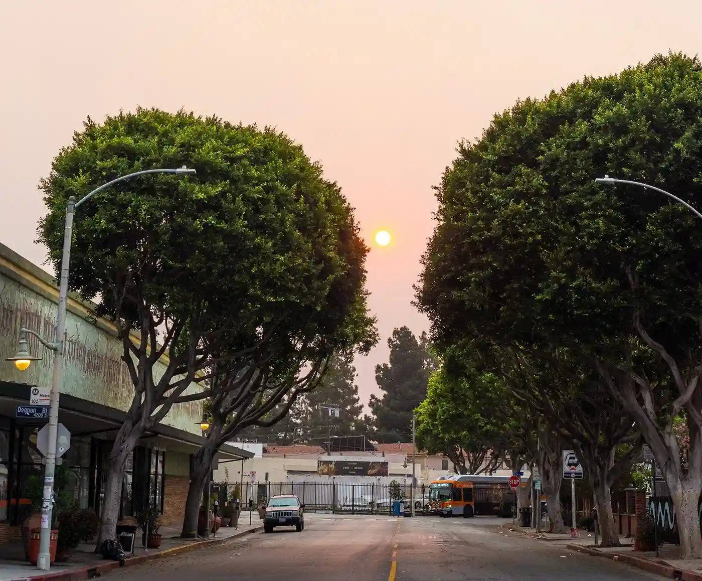 Leimert park