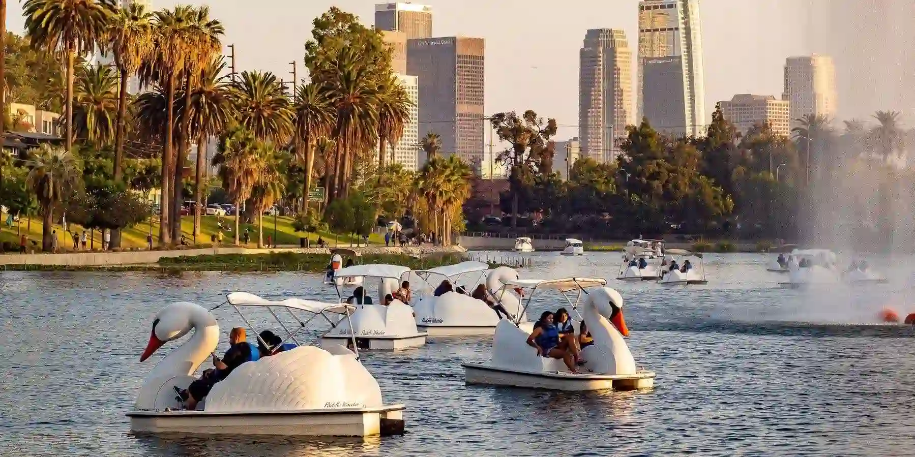 Romantic Paddle Boating at Echo Park Lake