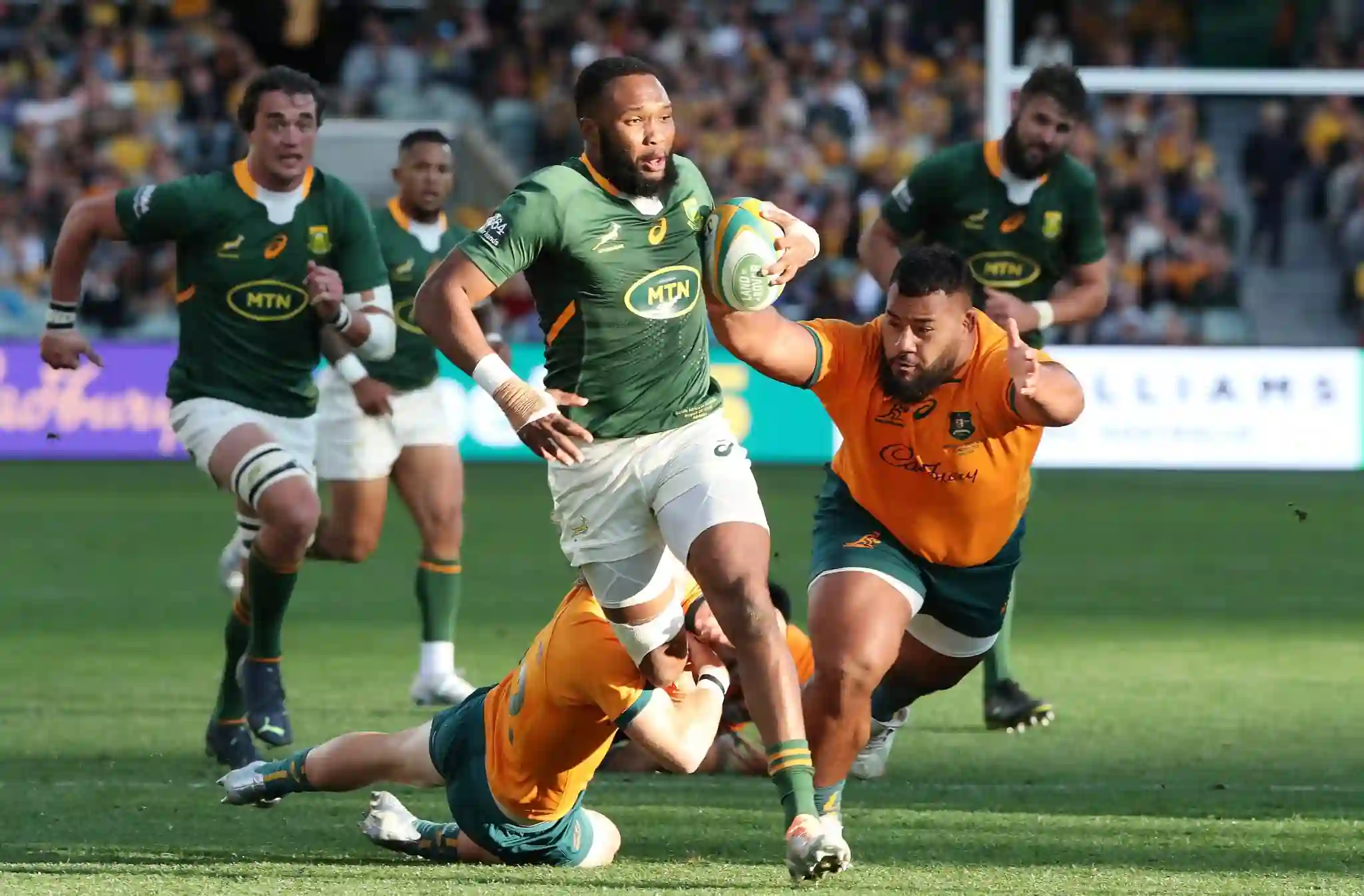 South Africa – World Champions with Wild Landscapes