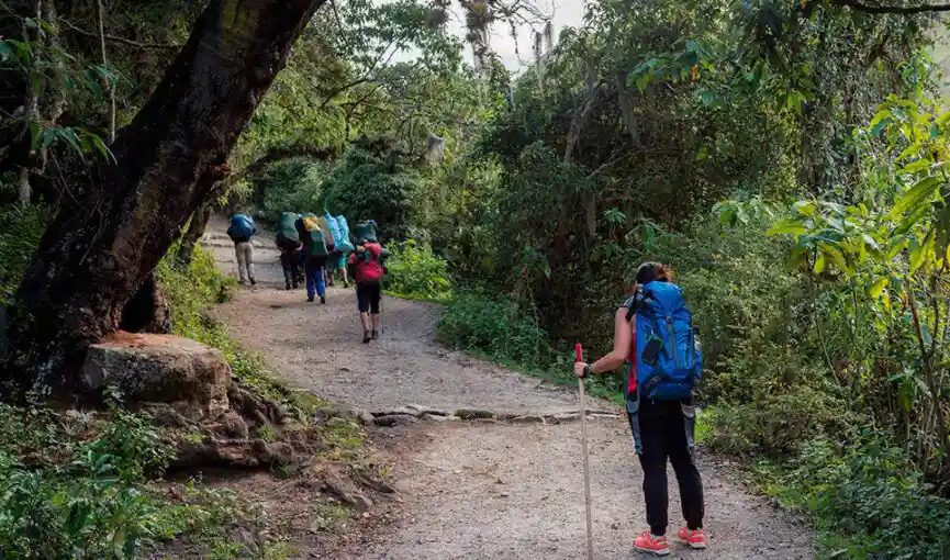 The Inca Jungle Trek