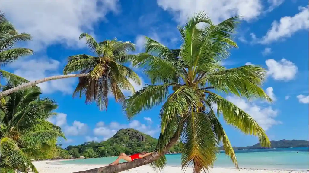 Travel Tips for Visiting Mahe Island