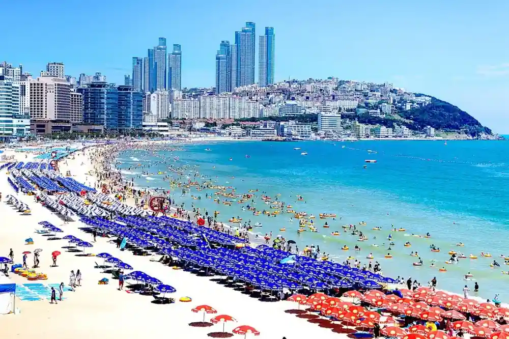 Busan – Beaches and Street Food Heaven