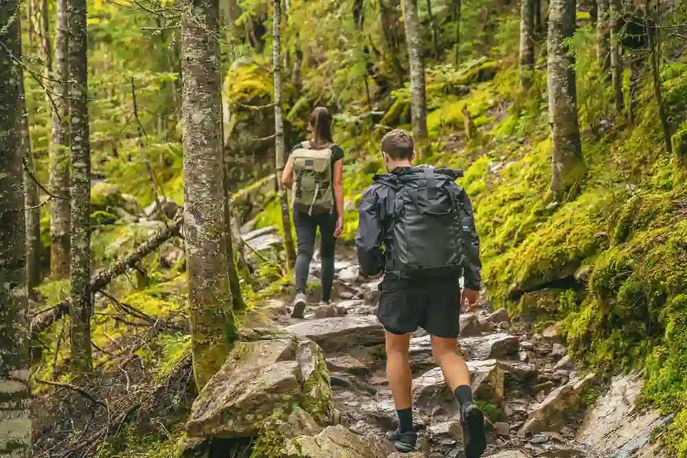 Hiking Trails