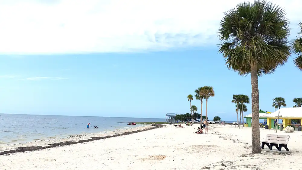 Keaton Beach Relaxing at the Beach Park