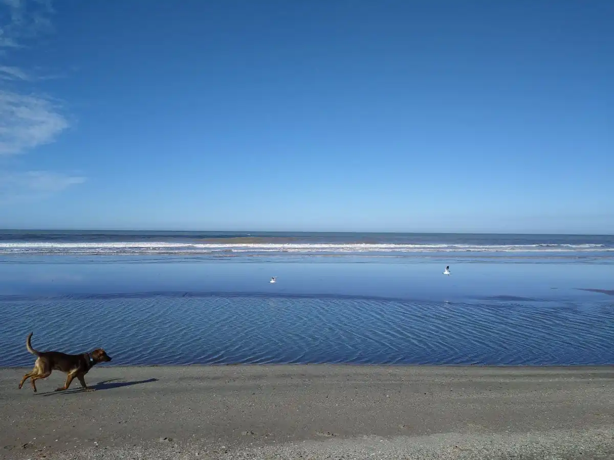 Mar de las Pampas