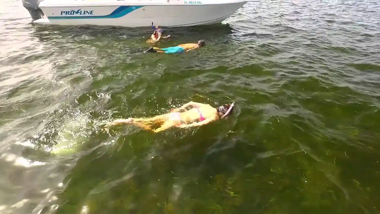 Sea Hag Marina Scalloping Charters