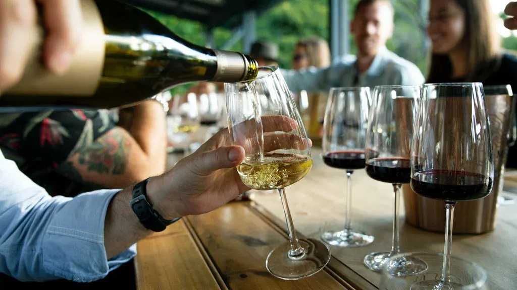 Wine Tasting at World Class Vineyards 1