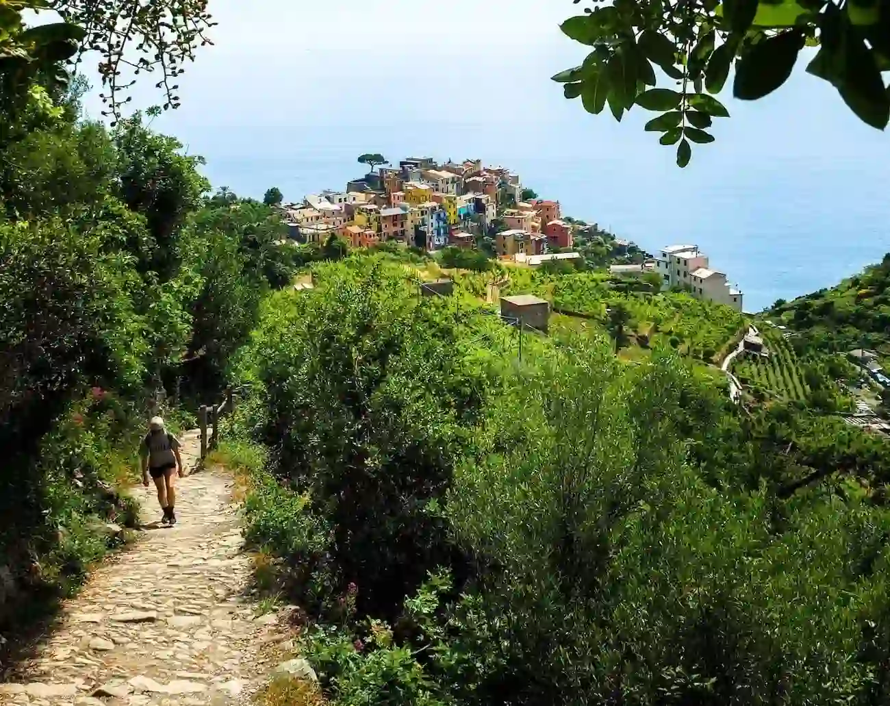 Cinque Terre Hiking