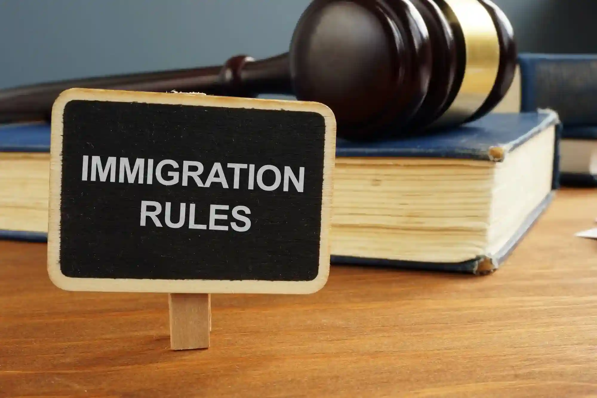 Immigration Rules and Potential Red Flags 1