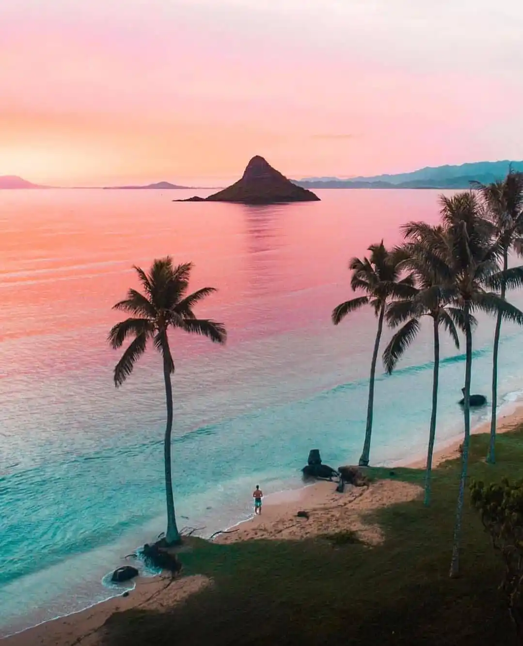 Oahus Pink Beaches