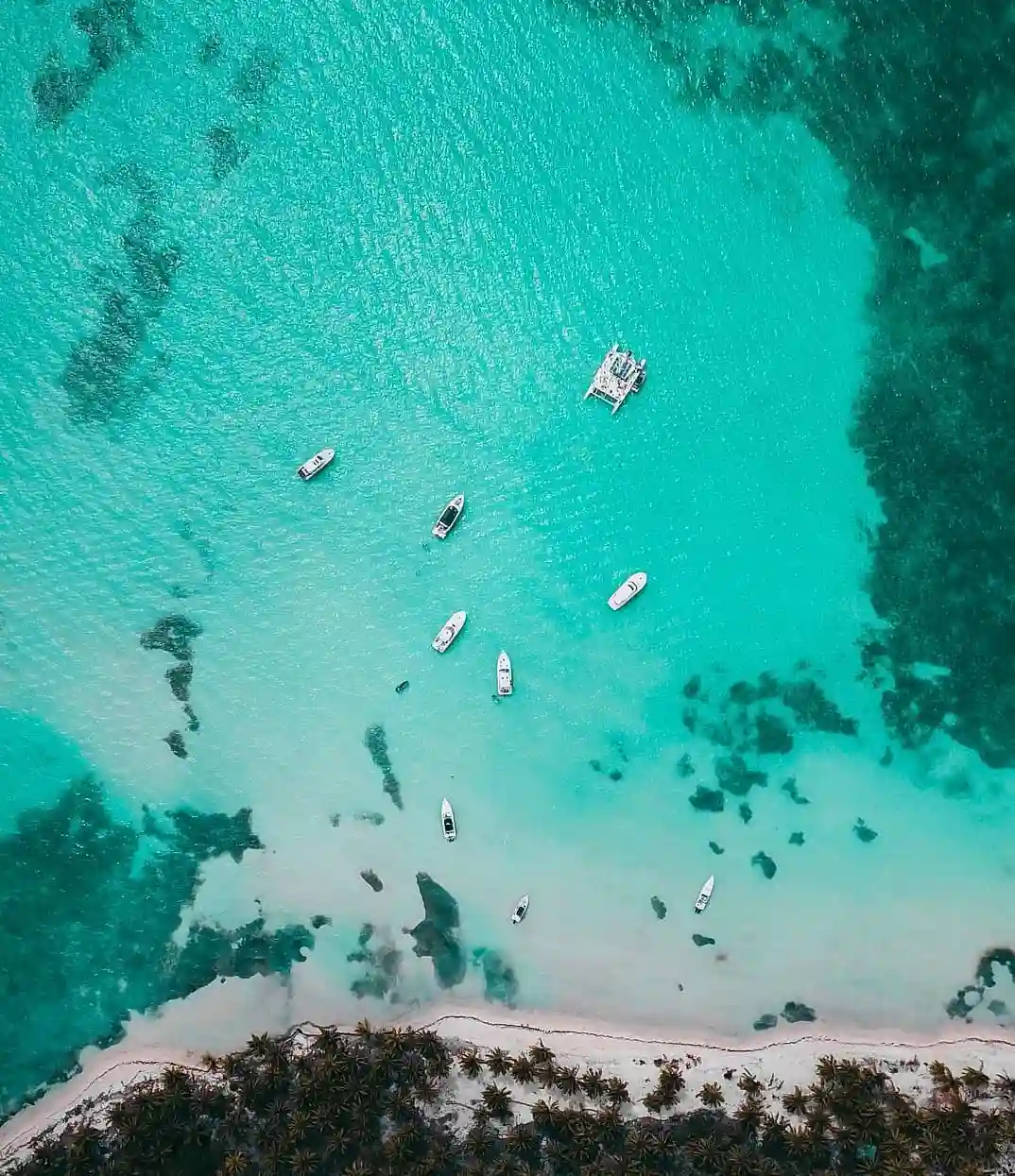 Palmilla Beach