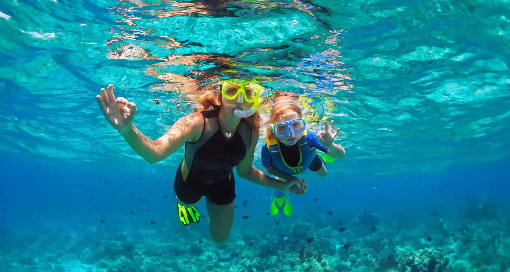 Picking the Right Snorkel Tour