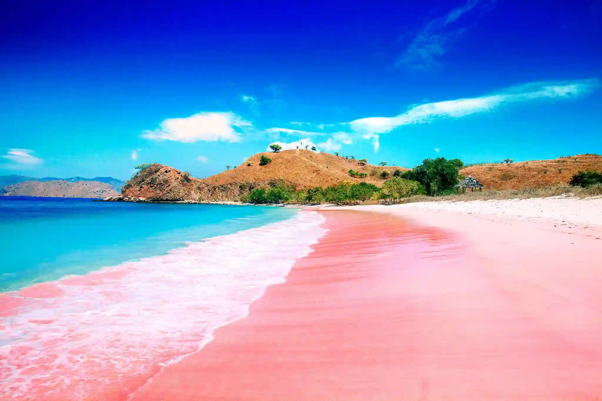 The Global Fascination with Pink Sand Beaches