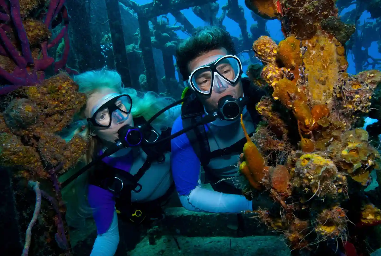 The Marine Life You Might See