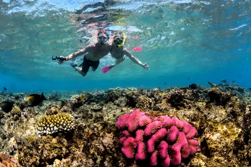 snorkeling Great Barrier Reef Cairns