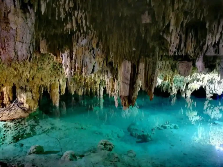 Best Cenotes Near Tulum for Swimming, Diving & Photos — 2025 Guide