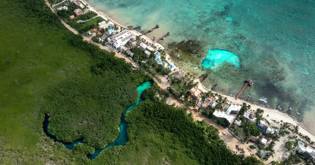 Casa Cenote Where Mangroves Meet the Sea