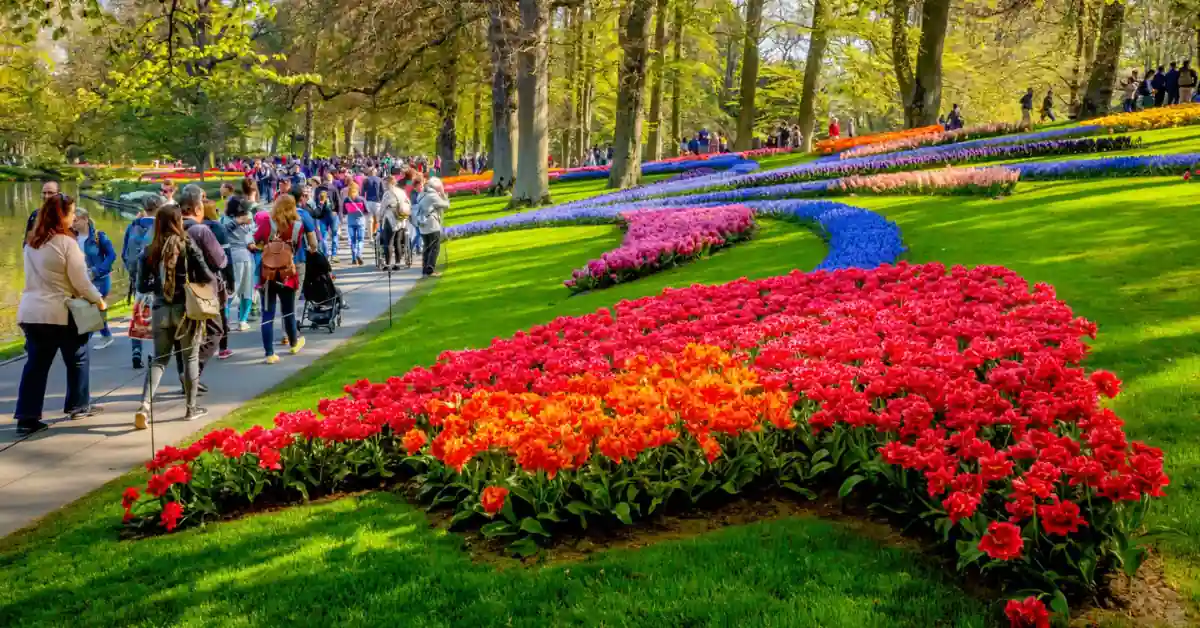 Day Trip to Keukenhof Gardens