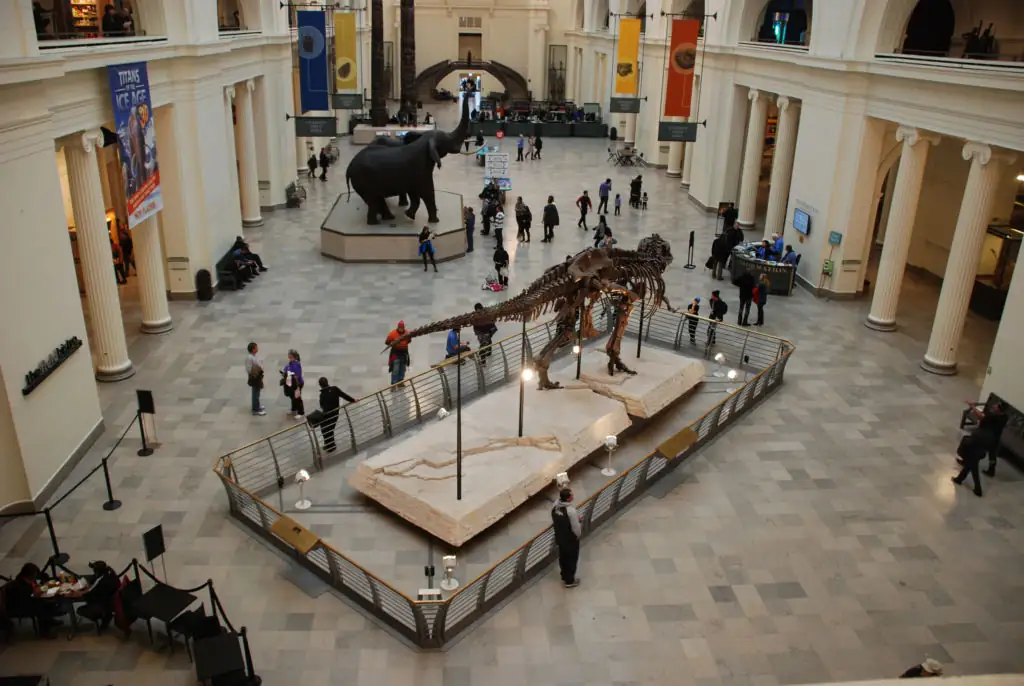 Field Museum