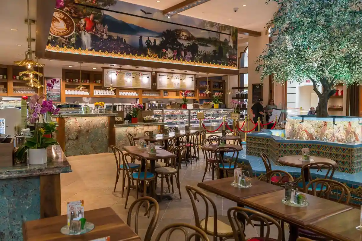 Olive Tree Cafe Mediterranean