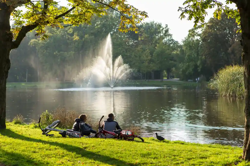 Picnic at Vondelpark