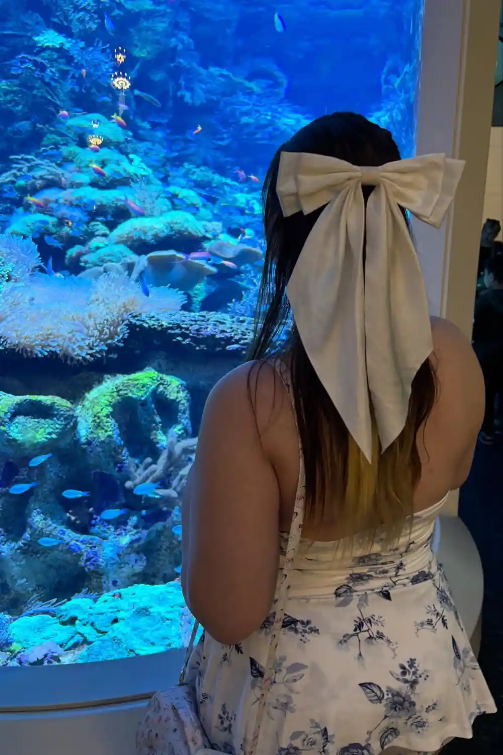Shedd Aquarium