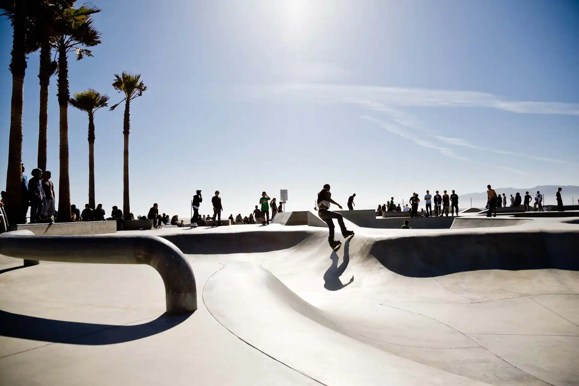 Venice Beach Murals Skate Park