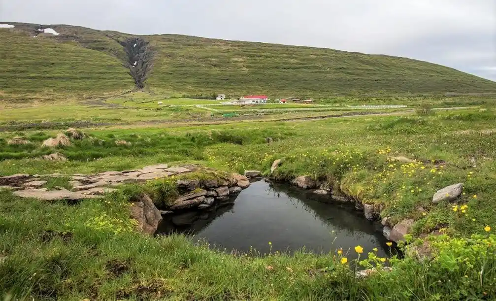 Galtahryggjarlaug