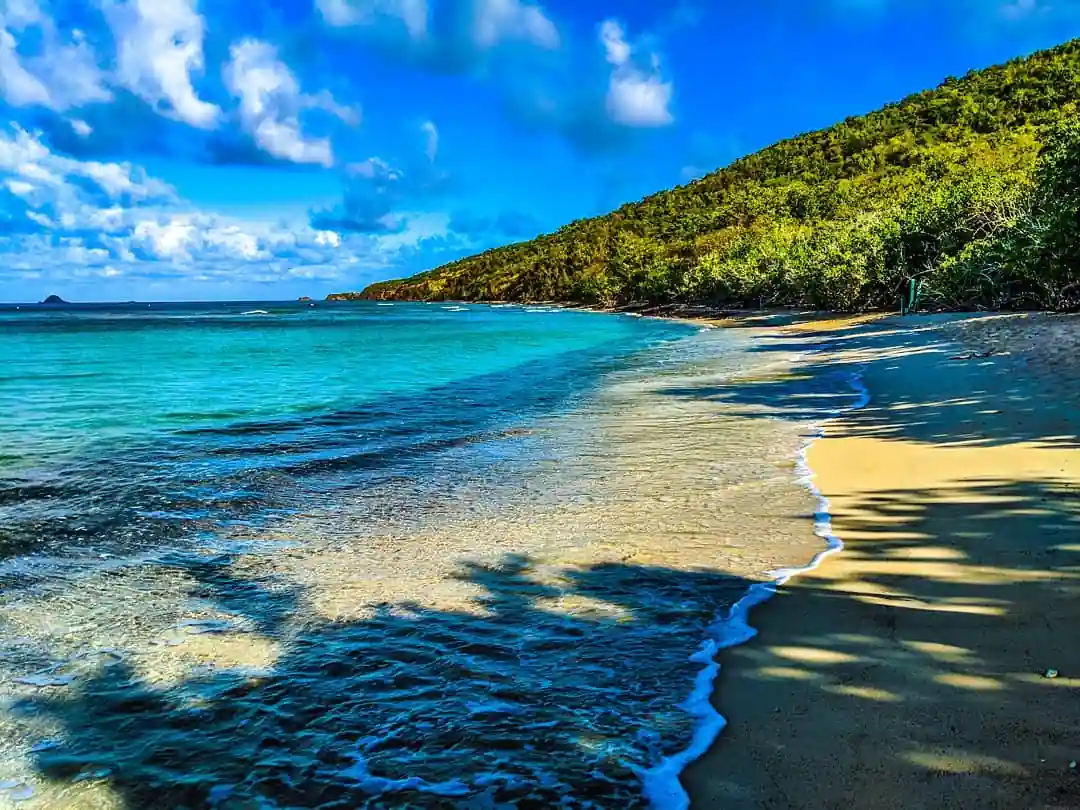 Playa Carlos Rosario