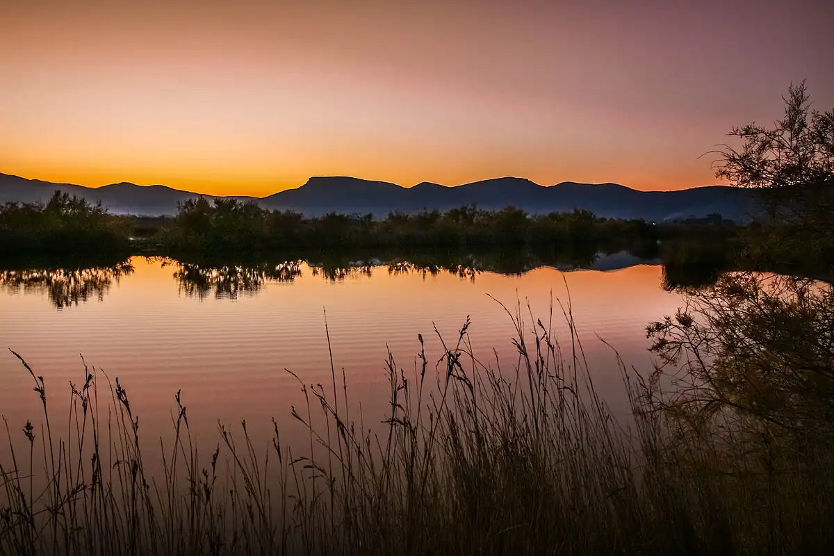 Schinias Wetlands