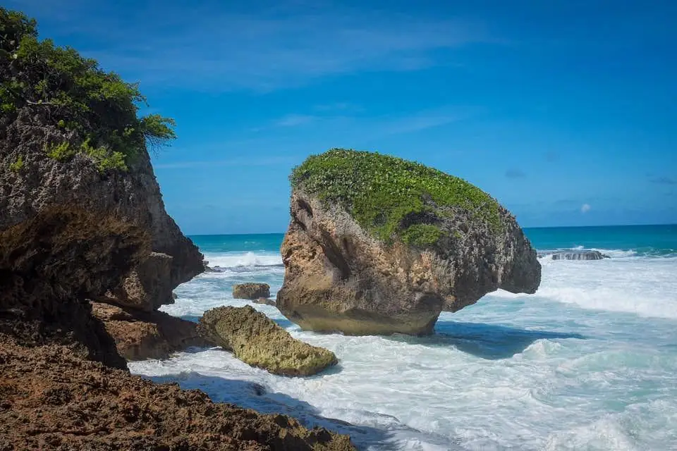 Survival Beach and Sea Caves