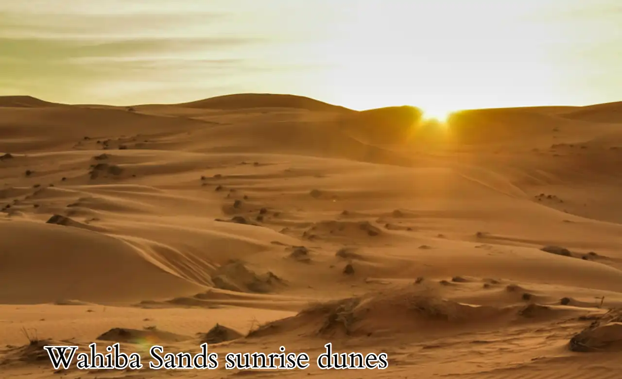 Wahiba Sands sunrise dunes