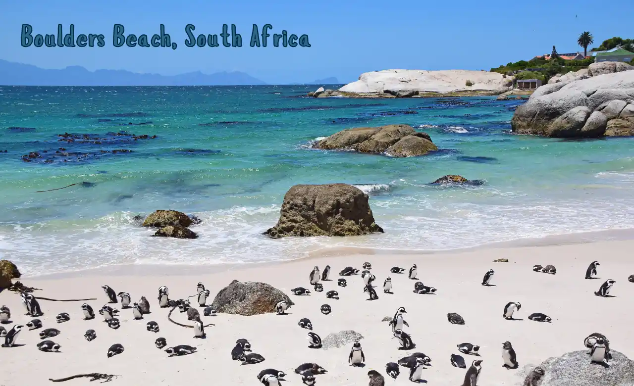 Boulders Beach South Africa