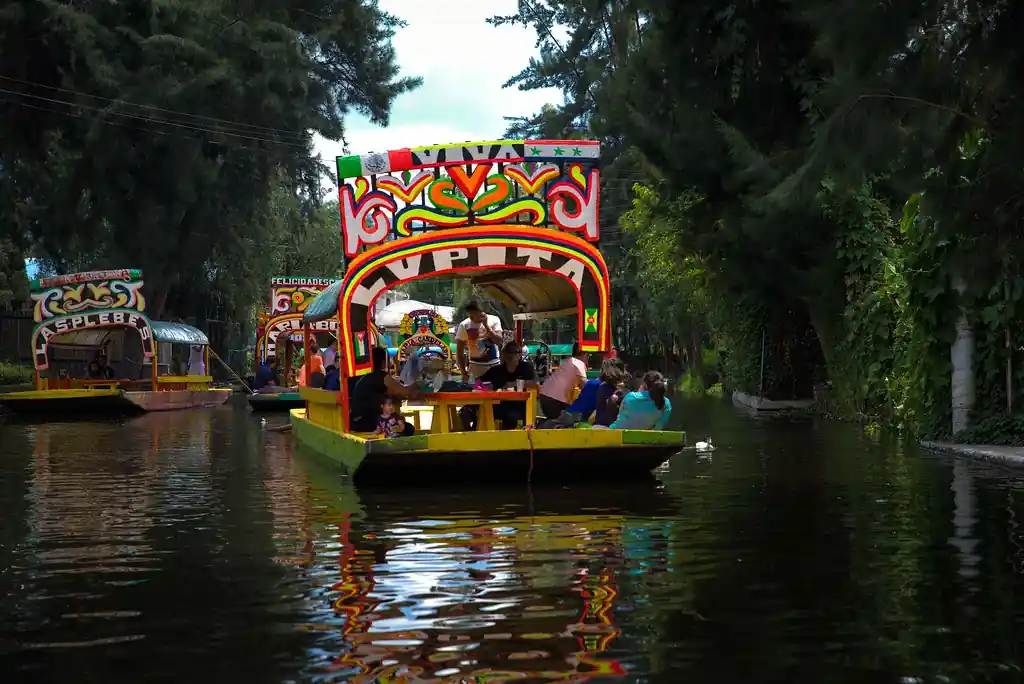 Cruise Xochimilcos Floating Gardens