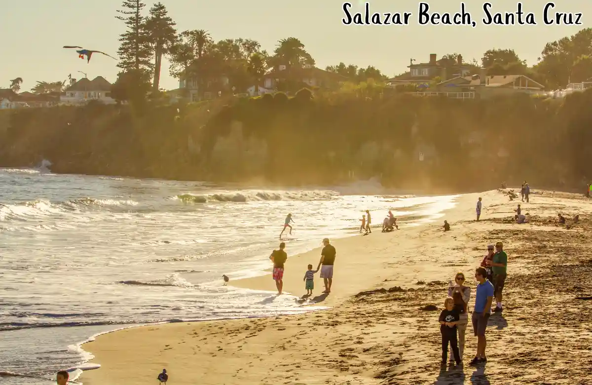 Salazar Beach Santa Cruz