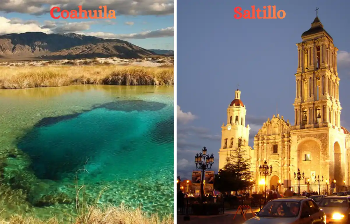 Saltillo Coahuila