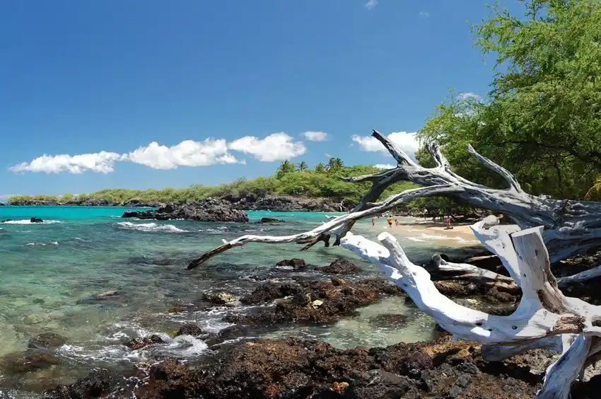 Best Time to Visit Puako Bay