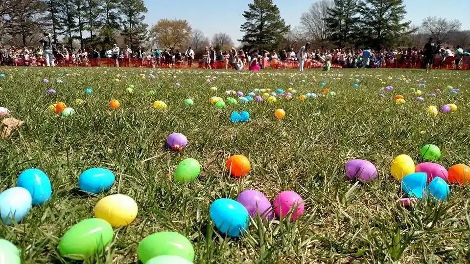Cherokee Veterans Park Flashlight Egg Hunt 1