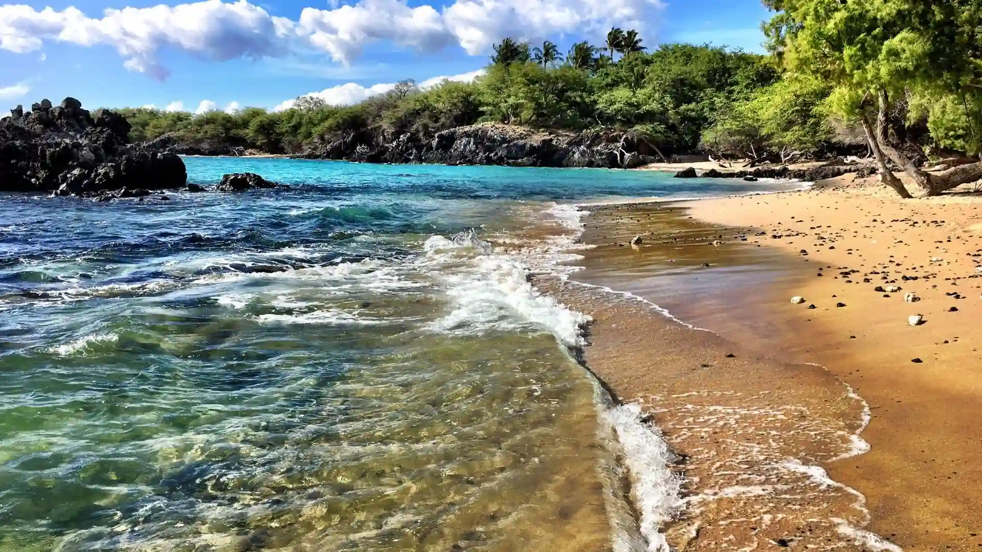 Puako Bay Big Island beaches