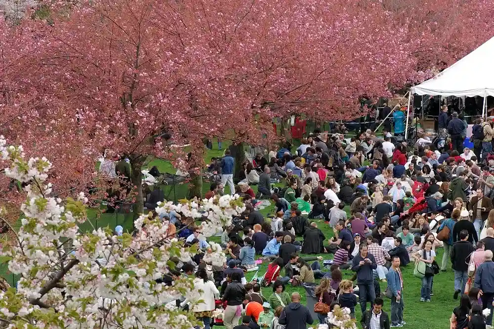 Spring Fest at The Avenue West Cobb 1