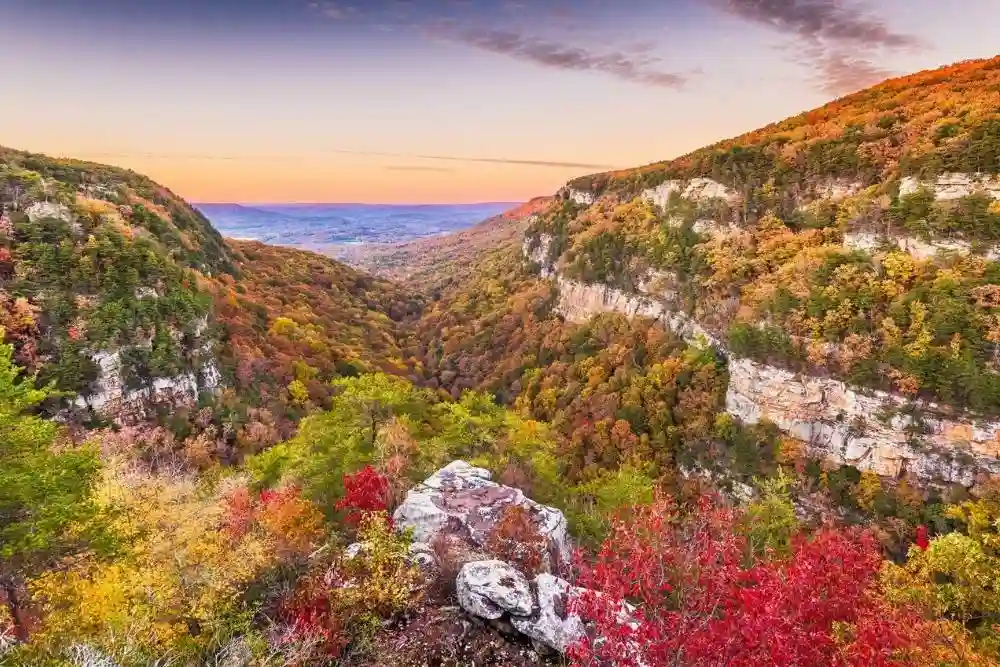 Atlanta Scenic Beauty fall season