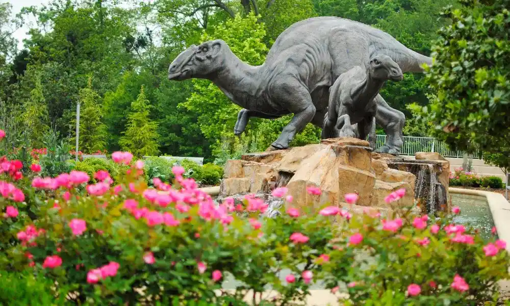 Attractions You Must Visit In Atlanta 1
