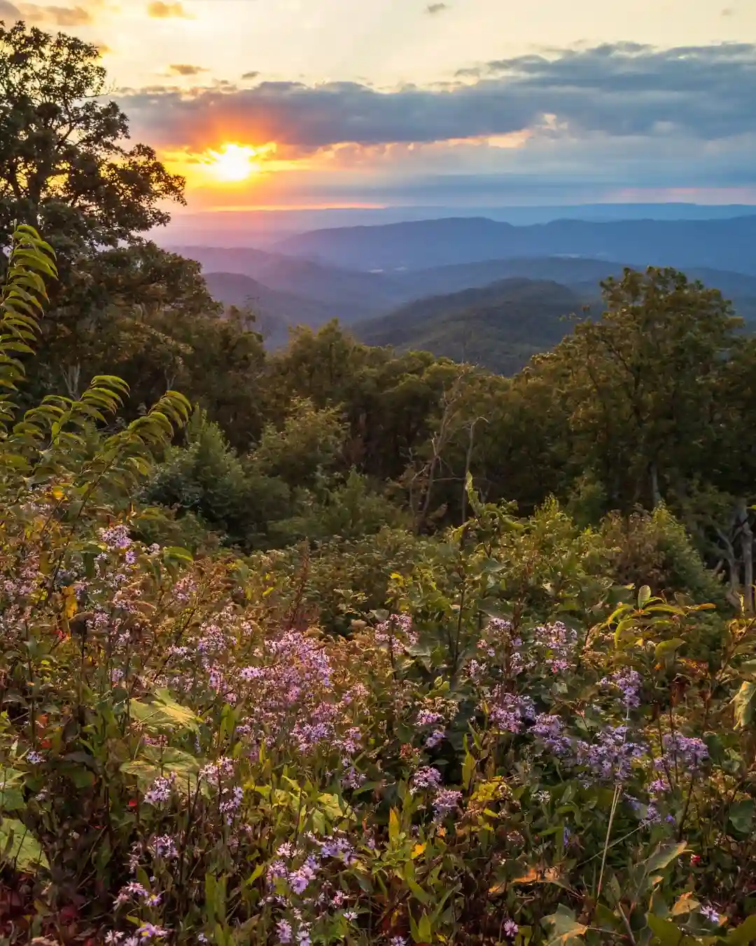 Blue Ridge Georgia
