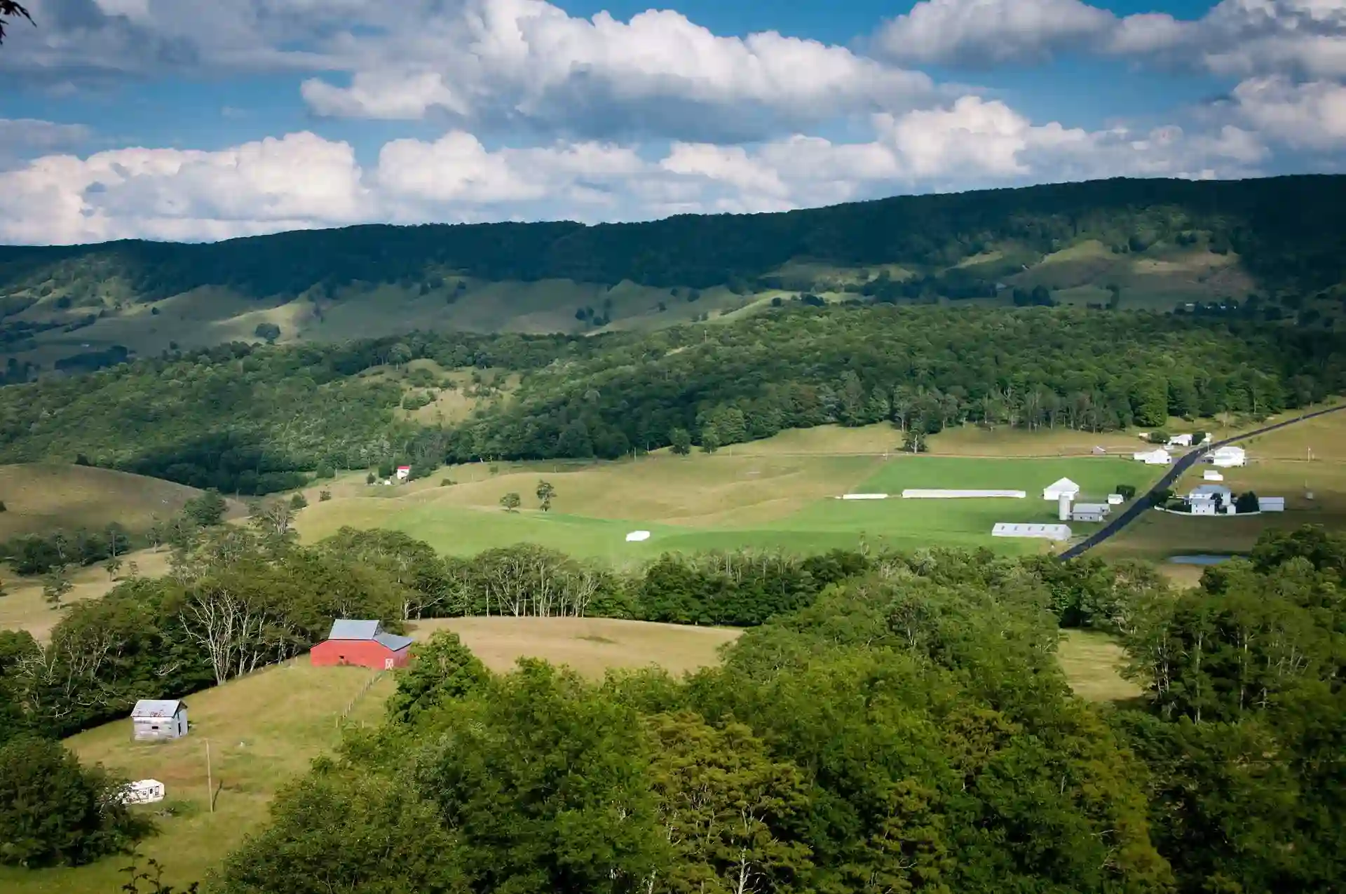 Virginia Highland 1