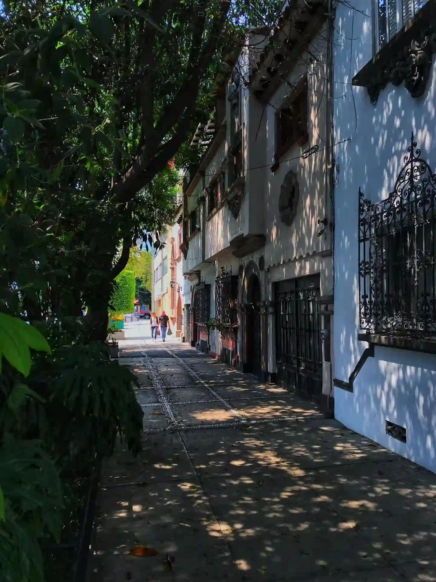 Condesa