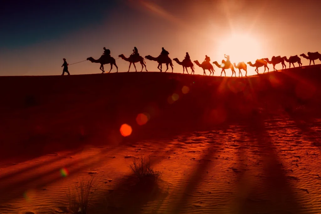 A caravan of camels led by a person walks along a desert ridge at sunset, casting long shadows and sun flares over the sandy landscape.