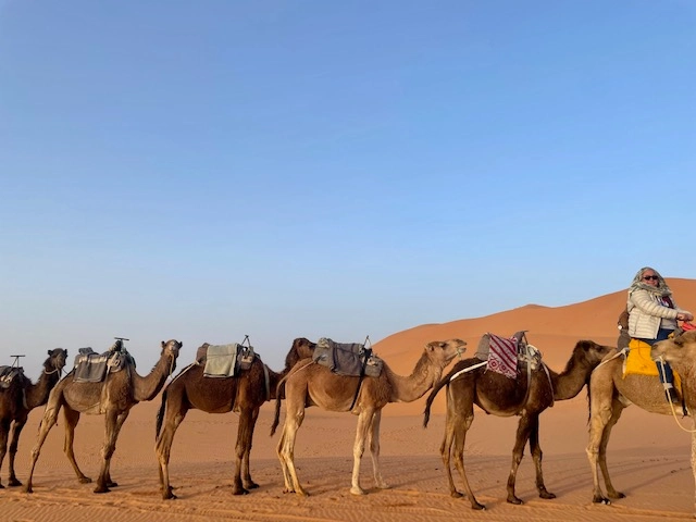 Sahara Tour with camels